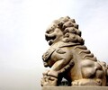 上海石雕回收石獅子高價收購