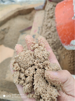 湖州洗砂泥浆分离机生产商