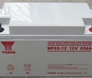 威海汤浅YUASA电池NP38-12/12V38AH价格图片