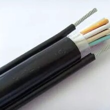 上海双尖RVV-NBR卷筒电缆