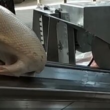 福瑞达不锈钢鸭子劈半锯图片