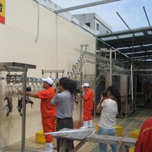 诸城市福瑞达鸡鸭螺旋预冷机不锈钢大容量图片