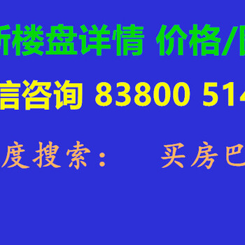 深圳龙岗中心城小产权房（宝龙一号）龙岗大型村委统建楼