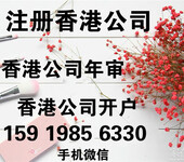 专业提供注册香港公司业务/出售外资公司/香港公司年审-