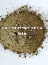 2019年新货菊花粕牛羊兔粗饲料可代替麸皮、花生秧草粉等选原料图片