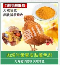 天然肉鸡脂肪着色剂鸡皮鸡油着色万寿菊提取物禽蛋饲料添加剂图片