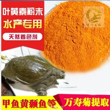 水产着色剂甲鱼专用叶黄素黄颡鱼专用叶黄素源自万寿菊图片
