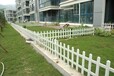 河北唐山PVC护栏的批发价格迪森护栏厂家提供草坪护栏采购商机
