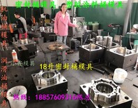 16升单口液体塑料桶模具，16升单口食品桶模具，16升单口水桶模具图片5