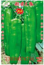 亩产万斤的牛角椒超前大椒辣椒种子图片