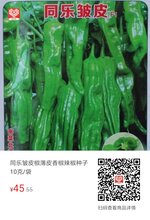 同乐皱皮椒薄皮香椒辣椒种子图片
