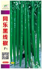 同乐黑线椒墨绿椒黑条椒高产线椒种子图片
