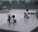 北京西城区彩钢房做防水阳光房做防水保修五年图片