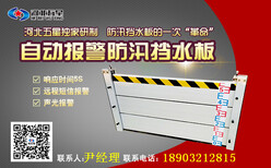 车库挡水板&地铁挡水板价格F5水位警戒线可报警挡水板图片0