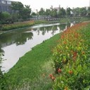 上海石英砂價(jià)格廠(chǎng)家用于水處理機械拋光打磨耐磨地坪等領(lǐng)域