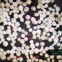 上?；钚钥招奈⒅閺S家價(jià)格用于隔熱保溫防火涂料塑料中