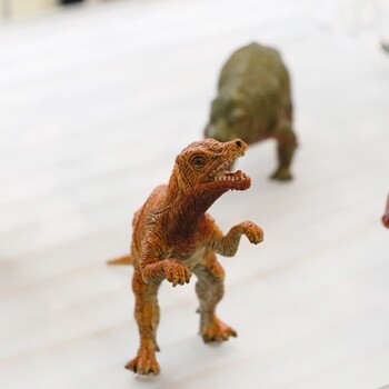 有2019年香港玩具展展位出租