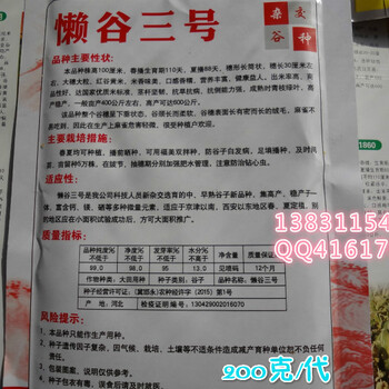 懶谷3號小米谷子品種懶谷3號(紅噸谷)防鳥抗麻雀鳥不彈鳥不叼