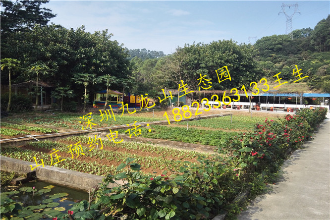 深圳环境最好最好玩的农家乐公司部门聚会首选之地九龙山生态园图片