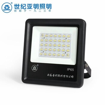 上海亞明FG25C大功率LED泛光燈
