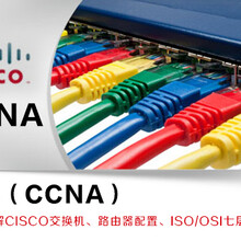上海CCNP网络工程培训、实际动手组建网络系统