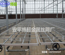 中国温室网-移动苗床厂家