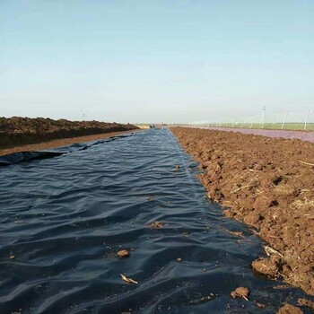 新国标0.5mmHDPE土工膜莲藕种植防渗膜水产养殖防渗膜