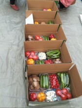 箱裝禮品蔬菜圖片