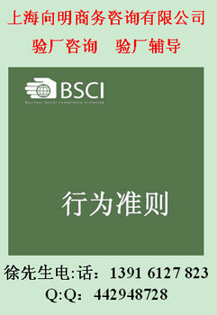 大员验厂（BSCI验厂、BSCI验厂咨询、BSCI验厂辅导）