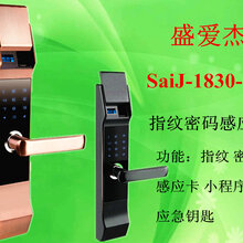 1830-C2指纹密码感应锁图片