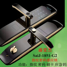 1851-G2指纹密码感应锁图片