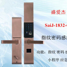 1832-C2指纹密码锁图片