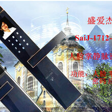 1712-C34掌静脉人脸密码锁图片