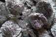 漳州废锡回收公司龙岩三明锡渣回收全国高价格