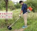 背负式小型锄地机玉米地锄草机汽油锄草机锄头图片