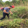 背负式果园专用除草机果园除草机价格