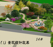 青岛园林设计青岛景观设计假山鱼池