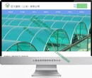 松江泗泾定制网站建设，松江新桥的高端定制性网站流程，松江定制型网站开发设计步骤？