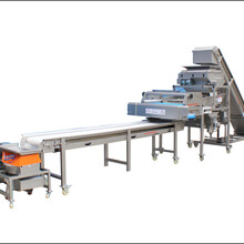 新乡机械供应3-10吨振动式葡萄除梗粒选生产线设备葡萄除梗机图片