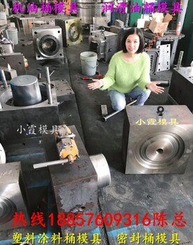 台州专做注塑模具工厂，25L八角塑胶密封桶模具，14L八角密封桶注射模具开模