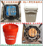 标准涂料桶模具，18L机油桶模具，注塑模具20L防冻液桶模具，20L化工桶模具图片4
