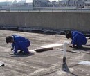 佛山市南海区南海大道建筑物防水补漏有限公司