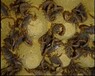 广西蝎子养殖基地免费养殖技术培训，优质蝎子种苗供应
