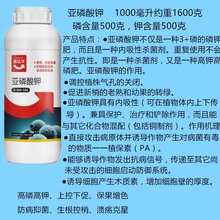 施达优亚磷酸钾能杀菌的磷钾肥柑橘树溃疡病特效含量高比重大的亚磷酸钾图片