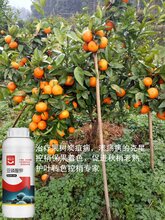 高浓度亚磷酸钾果树溃疡病杀菌剂补磷补钾营养杀菌磷钾复合肥图片