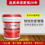 JS防水堵漏涂料建筑材料生产厂家图片4