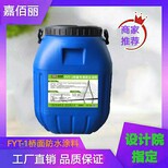 三涂fyt-2型桥面防水涂料贵阳道桥防水标准图片1