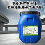 胎体增强型桥面防水涂料，PB-2防水层厂家包邮图片0