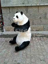 仿真大熊猫模型图片