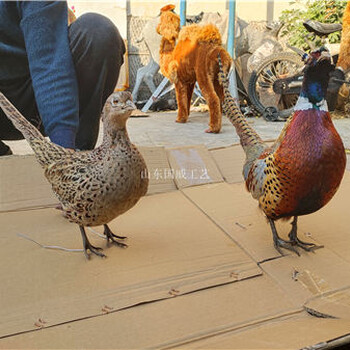 仿真动物标本仿真动物主题展览模型